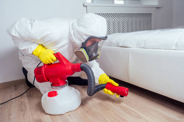 Best Best Pest Control Companies  in Cementon, PA