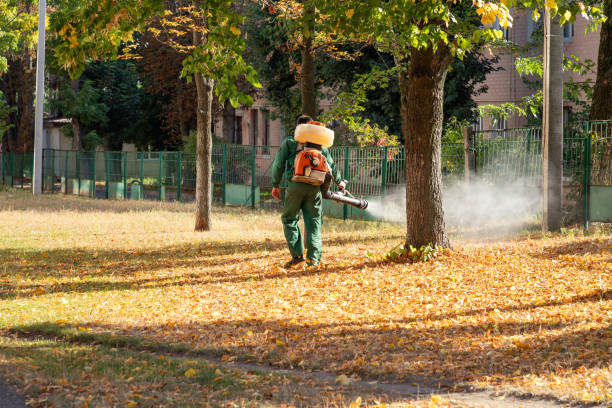 Insect Control in Cementon, PA